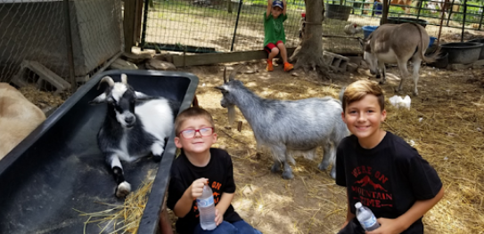children with goats at petting zoo