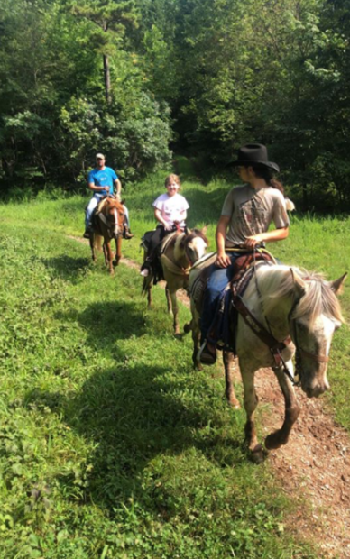 horseback riding in mountain view